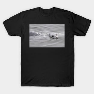 Cheeky Harbor Seal Winks at the Photographer T-Shirt